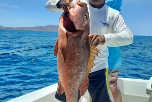 QM2 Sports Fishing Experience Private Charter Flamingo CR