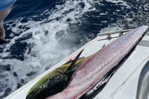 QM2 Sports Fishing Experience Private Charter Flamingo CR