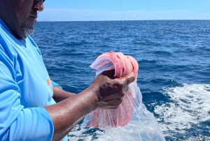 Experiencia de pesca deportiva guiada Flamingo Costa Rica