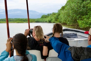 Quepos: Damas Island Authentic Local Mangrove Boat Tour