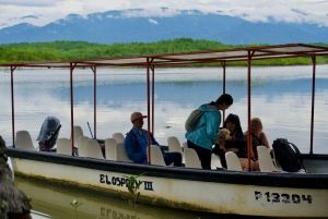 Quepos: Damas Island Authentic Local Mangrove Boat Tour