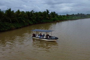 Quepos: Damas Island Authentic Local Mangrove Boat Tour