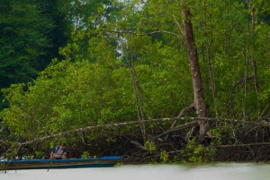Quepos: Damas Island Authentic Local Mangrove Boat Tour