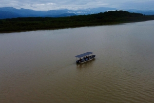 Quepos: Damas Island Authentic Local Mangrove Boat Tour