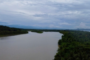 Quepos: Damas Island Authentic Local Mangrove Boat Tour