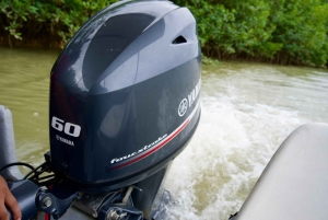 Quepos: Damas Island Authentic Local Mangrove Boat Tour