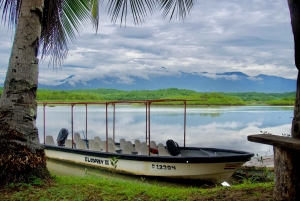 Quepos: Damas Island Authentic Local Mangrove Boat Tour