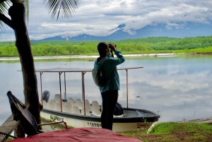 Quepos: Damas Island Authentic Local Mangrove Boat Tour