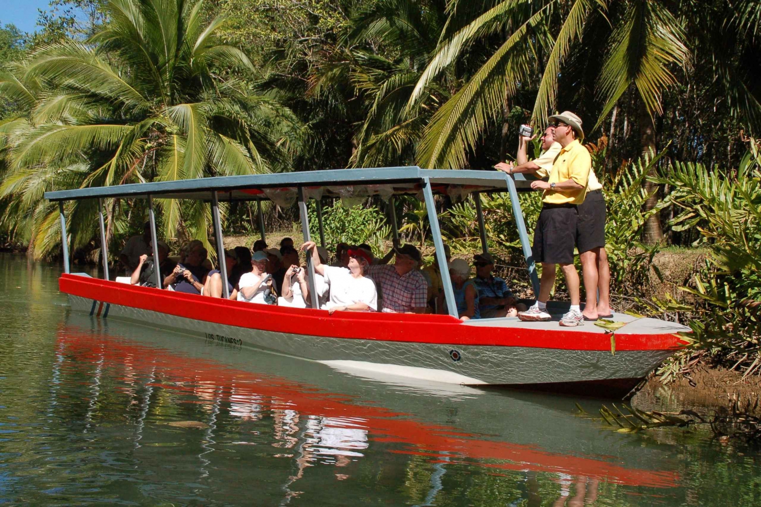 Quepos: Damas Island Mangrove’s Boat Tour