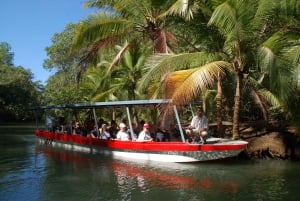 Quepos: Damas Island Mangrove’s Boat Tour