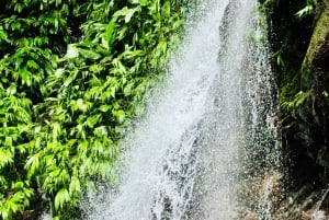 Quepos: Guided waterfall adventures