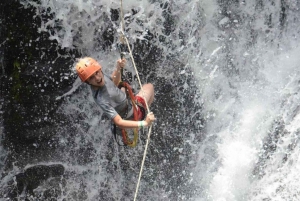 Quepos: Half-Day Rainforest Adventure & Zipline