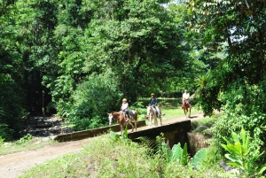 Quepos: Horseback Riding to the Shaman Waterfalls