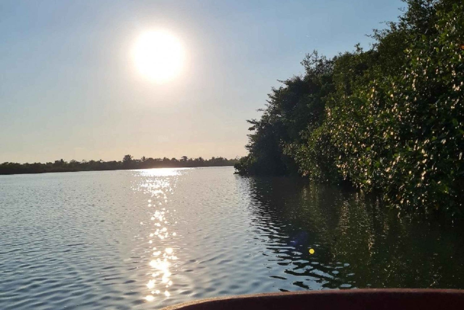 Passeio de barco pelos manguezais de Quepos