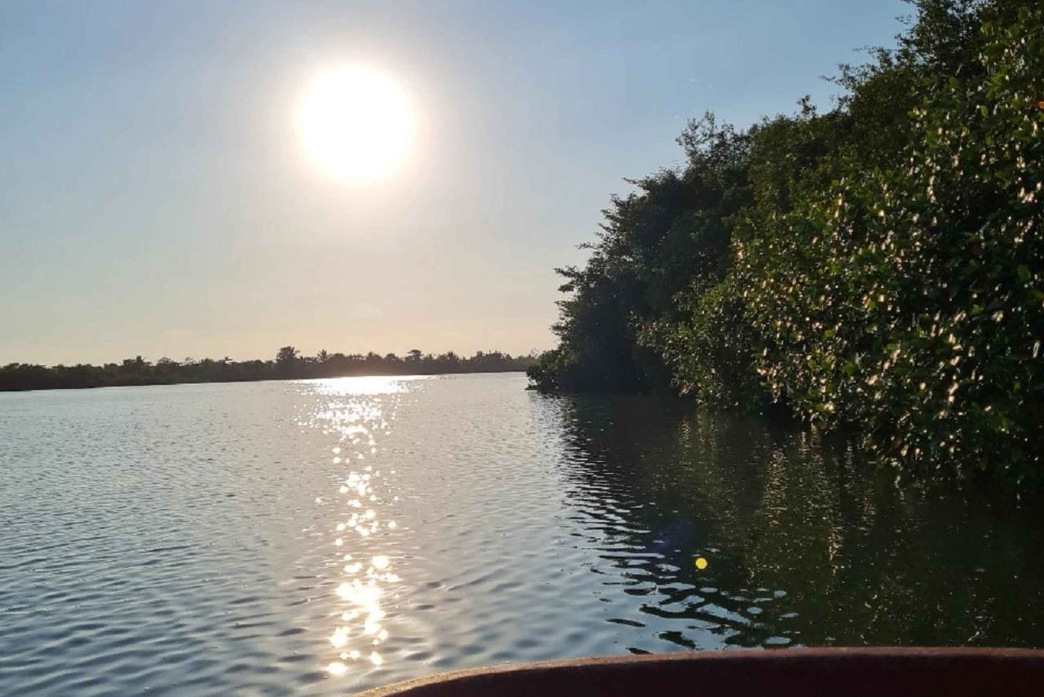 Экскурсия на мангровой лодке в Кепосе