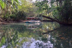 Экскурсия на мангровой лодке в Кепосе