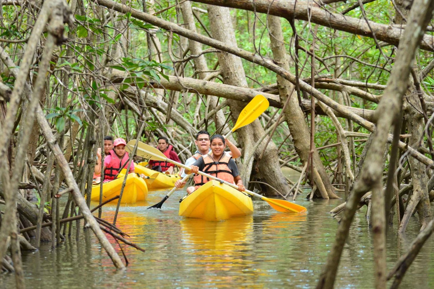 Quepos: Mangrove Kayaking Tour