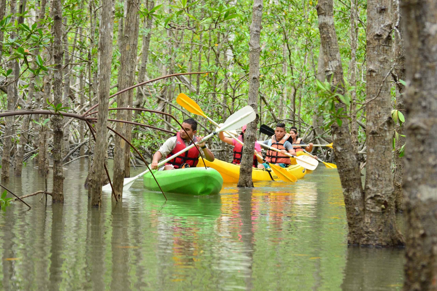 Quepos : Excursion en kayak dans la mangrove