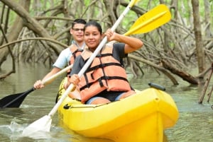 Quepos: Mangrove Kayaking Tour