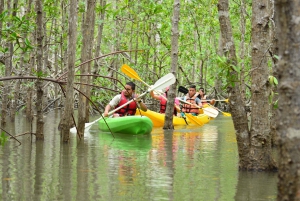 Quepos : Excursion en kayak dans la mangrove