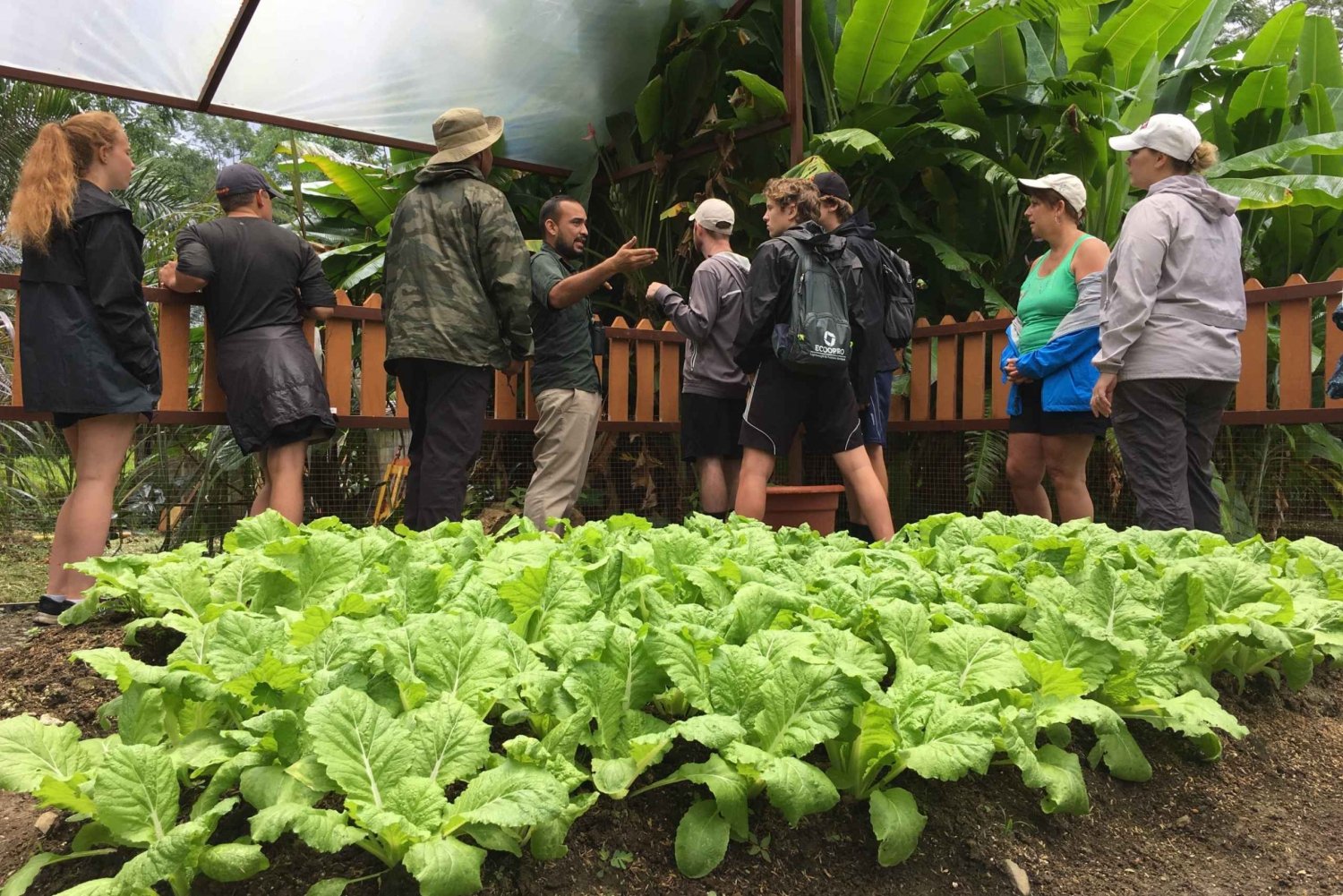 Quepos: Manuel Antonio Local Flavor Tour