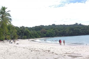 Quepos: Manuel Antonio National Park Guided Tour