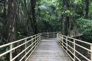 Quepos : Visite guidée du parc national Manuel Antonio