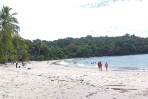 Quepos : Visite guidée du parc national Manuel Antonio