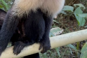 Vandring i Manuel Antonio nationalpark