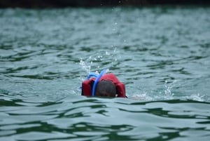 Quepos: Ocean Kayaking and Snorkeling