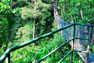 Quepos: Tour guiado pelo Rainmaker Park com transporte