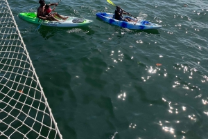 Quepos: Boottocht met houten zeilboten, watersport en eten