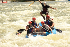 From La Fortuna: Rafting & Lunch at Monkey Park with Photos