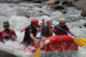 Rafting klasy 3-4 'Jungle Run': Río Sarapiquí, Kostaryka