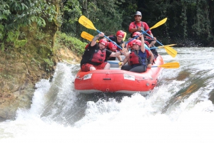 Forsränning klass 3-4 'Jungle Run': Río Sarapiquí, Costa Rica
