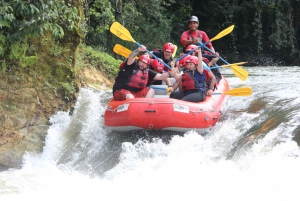 Raften Klasse 3-4 'Jungle Run': Río Sarapiquí, Costa Rica