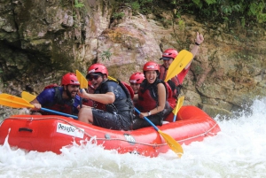 Forsränning klass 3-4 'Jungle Run': Río Sarapiquí, Costa Rica