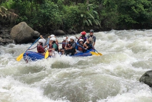 Рафтинг в Коста-Рике: небольшая группа, класс III, река Бальса