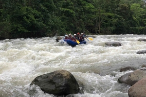 Рафтинг в Коста-Рике: небольшая группа, класс III, река Бальса