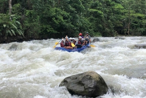 Рафтинг в Коста-Рике: небольшая группа, класс III, река Бальса