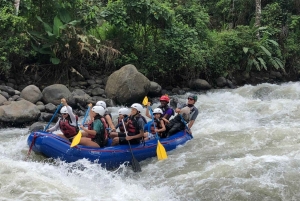 Рафтинг в Коста-Рике: небольшая группа, класс III, река Бальса