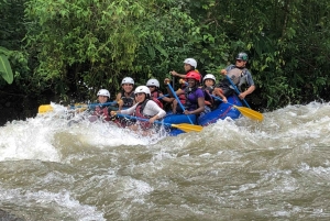 Рафтинг в Коста-Рике: небольшая группа, класс III, река Бальса