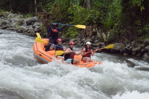 Rafting Costa Rica + safari animalier & Paradise H