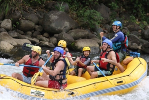 Rafting no rio Sarapiqui saindo de La Fortuna: Passeio à tarde