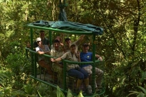 Desde San José: Excursión en Teleférico por la Selva Atlántica