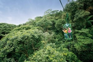 Depuis San Jose : Excursion en tramway aérien dans la forêt tropicale de l'Atlantique