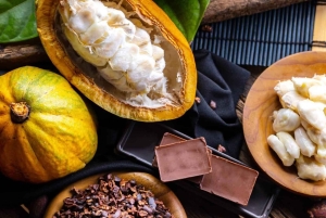 Sademetsä Combo : Suklaata, laiskiainen ja luonto