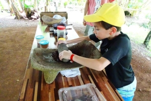 Sademetsä Combo : Suklaata, laiskiainen ja luonto
