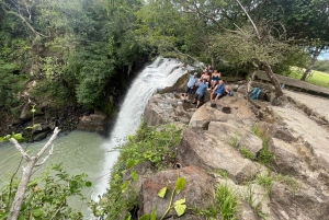 Sademetsä Combo : Suklaata, laiskiainen ja luonto