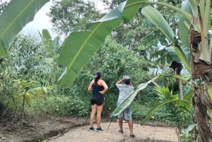 Rainforest Night walk thought the Tapir Home